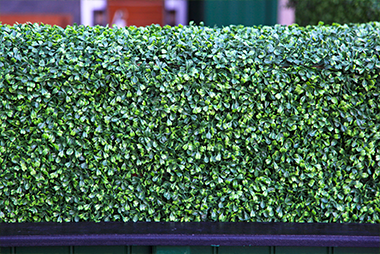landscaping landscaping