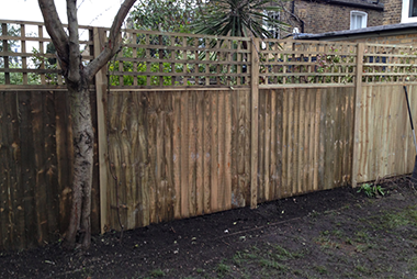 landscaping landscaping