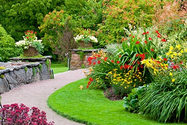 landscaping landscaping