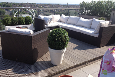 landscaping landscaping
