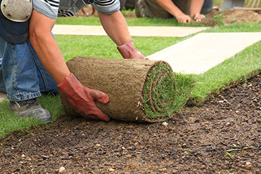 landscaping landscaping