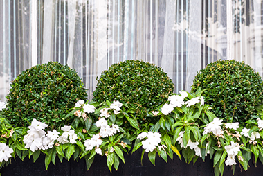 landscaping landscaping